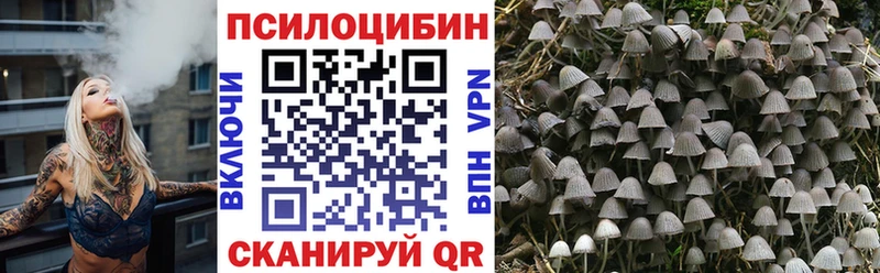 Галлюциногенные грибы GOLDEN TEACHER  MEGA маркетплейс  Чаплыгин  наркошоп 